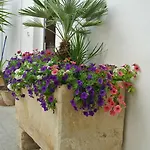 L'Antica Corte B&B Matino