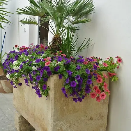 L'antica Corte